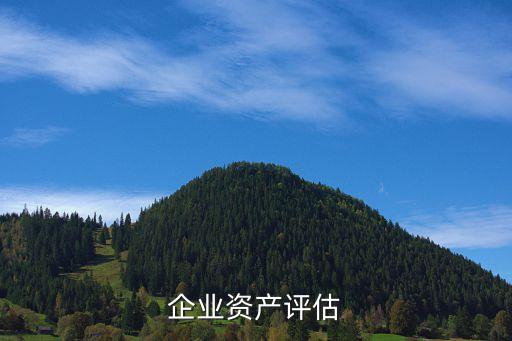 企業(yè)資產評估