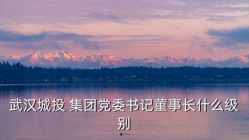 武漢城投 集團(tuán)黨委書記菫事長什么級(jí)別