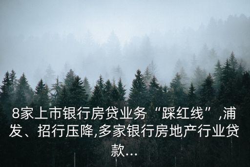 8家上市銀行房貸業(yè)務(wù)“踩紅線”,浦發(fā)、招行壓降,多家銀行房地產(chǎn)行業(yè)貸款...