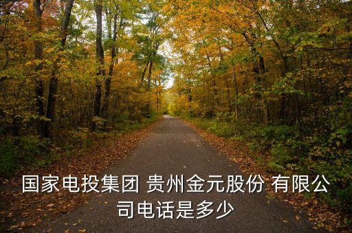 國家電投集團(tuán) 貴州金元股份 有限公司電話是多少