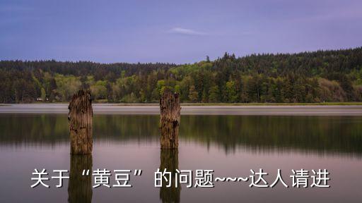關(guān)于“黃豆”的問題~~~達(dá)人請(qǐng)進(jìn)