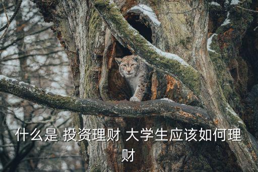 什么是 投資理財 大學生應該如何理財