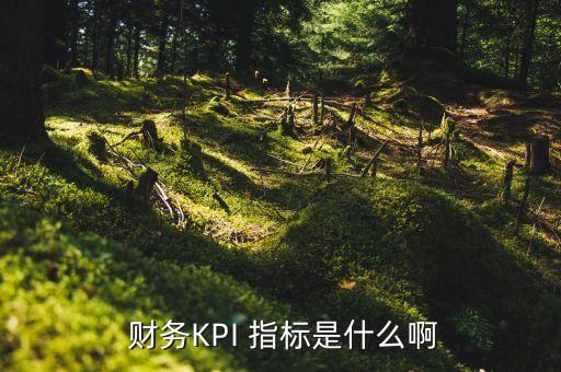 財務(wù)公司關(guān)鍵指標(biāo),企業(yè)集團財務(wù)公司監(jiān)管指標(biāo)