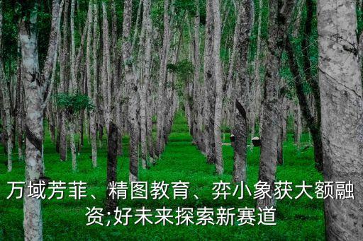 萬(wàn)域芳菲、精圖教育、弈小象獲大額融資;好未來(lái)探索新賽道