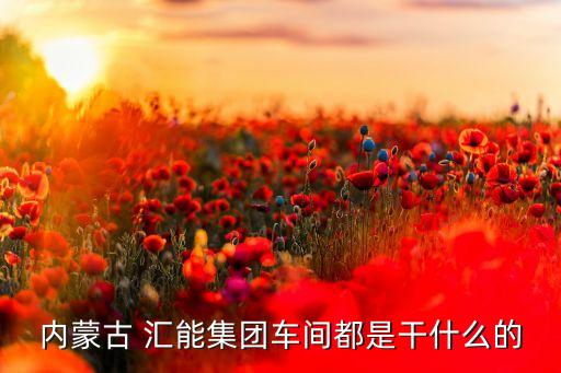 內(nèi)蒙古 匯能集團(tuán)車(chē)間都是干什么的