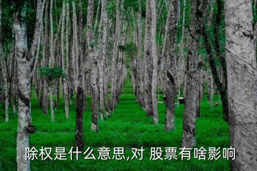 除權(quán)是什么意思,對 股票有啥影響