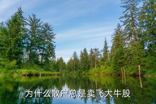 讓股票飛飛,飛飛的股票嗨領克