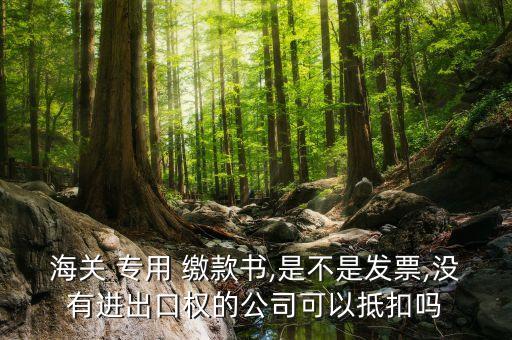 海關 專用 繳款書,是不是發(fā)票,沒有進出口權的公司可以抵扣嗎