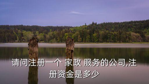 請問注冊一個(gè) 家政 服務(wù)的公司,注冊資金是多少