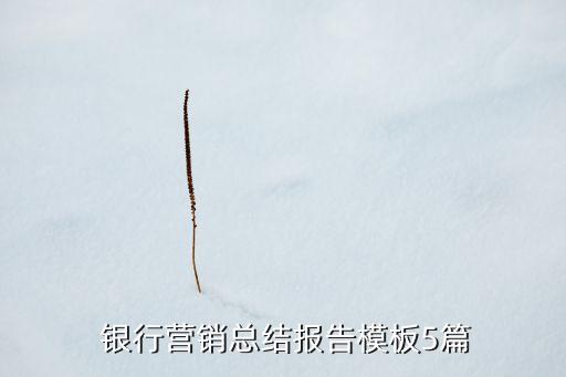  銀行營(yíng)銷(xiāo)總結(jié)報(bào)告模板5篇