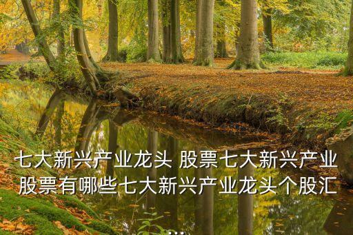 七大新興產業(yè)龍頭 股票七大新興產業(yè) 股票有哪些七大新興產業(yè)龍頭個股匯...