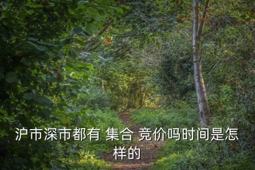 沒(méi)有集合競(jìng)價(jià)的股票,怎么在集合競(jìng)價(jià)最快賣(mài)出股票