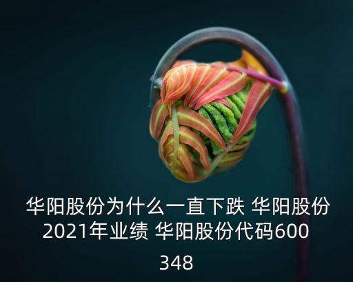  華陽股份為什么一直下跌 華陽股份2021年業(yè)績(jī) 華陽股份代碼600348