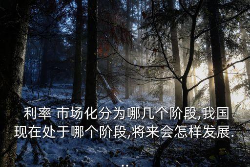 中國利率市場化時(shí)間表,對中國利率市場化的看法