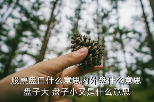  股票盤口什么意思內外盤什么意思 盤子大 盤子小又是什么意思
