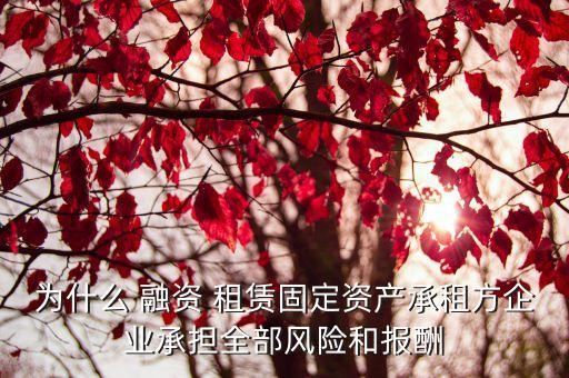 為什么 融資 租賃固定資產(chǎn)承租方企業(yè)承擔全部風險和報酬