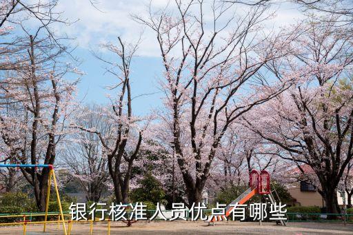  銀行核準(zhǔn)人員優(yōu)點有哪些