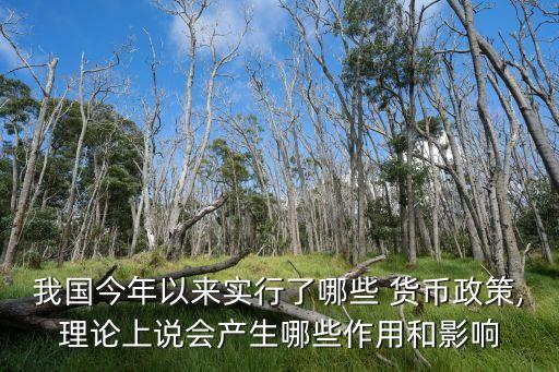 我國今年以來實(shí)行了哪些 貨幣政策,理論上說會(huì)產(chǎn)生哪些作用和影響