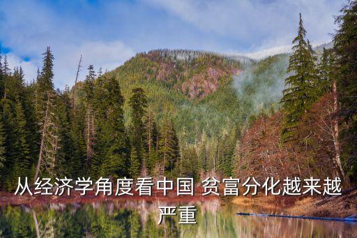從經(jīng)濟(jì)學(xué)角度看中國(guó) 貧富分化越來(lái)越嚴(yán)重