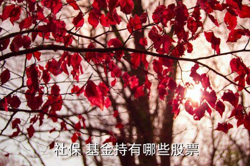 社?；鹚囊蝗M合,全國社保基金四一三組合最新持股明細