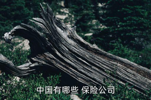 中國有哪些 保險(xiǎn)公司