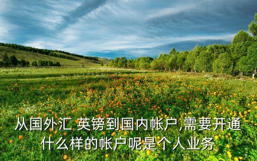 從國(guó)外匯 英鎊到國(guó)內(nèi)帳戶,需要開通什么樣的帳戶呢是個(gè)人業(yè)務(wù)