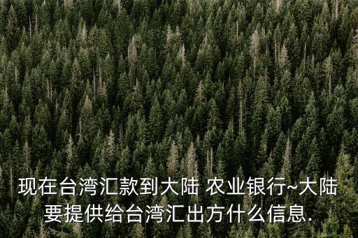 現在臺灣匯款到大陸 農業(yè)銀行~大陸要提供給臺灣匯出方什么信息.