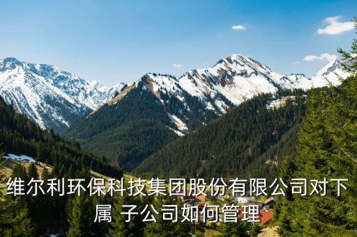 維爾利環(huán)?？萍技瘓F(tuán)股份有限公司對下屬 子公司如何管理
