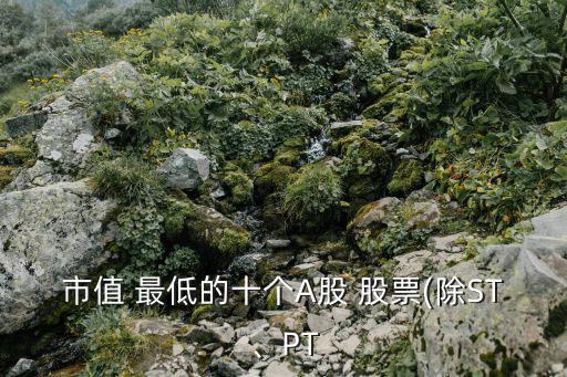 市值 最低的十個(gè)A股 股票(除ST、PT