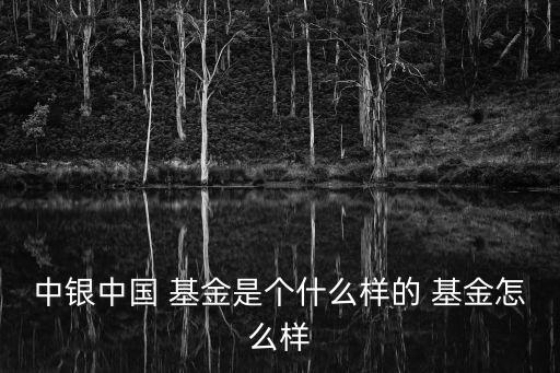中銀中國 基金是個(gè)什么樣的 基金怎么樣