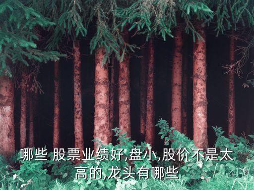 哪些 股票業(yè)績好,盤小,股價(jià)不是太高的,龍頭有哪些