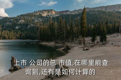  上市 公司的總 市值,在哪里能查詢(xún)到,還有是如何計(jì)算的