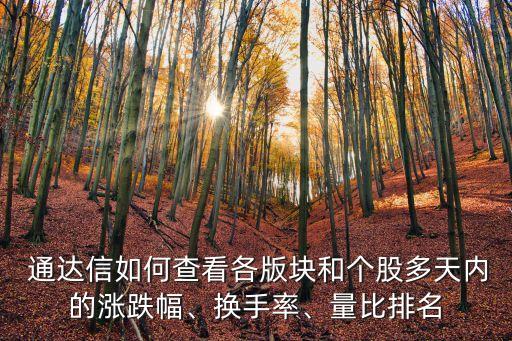  通達(dá)信如何查看各版塊和個(gè)股多天內(nèi)的漲跌幅、換手率、量比排名