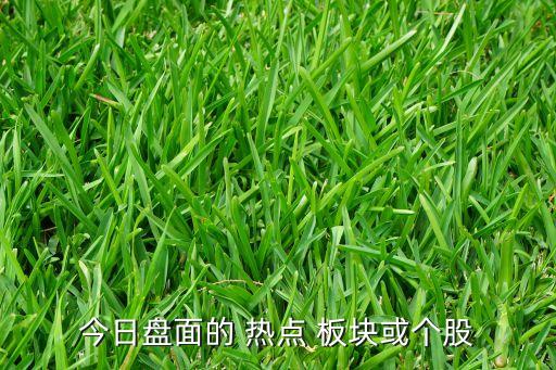 今日盤面的 熱點(diǎn) 板塊或個股