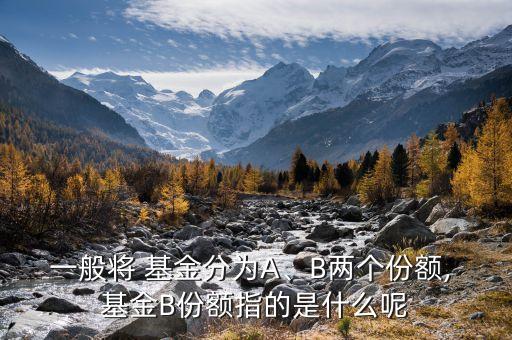 一般將 基金分為A、B兩個(gè)份額, 基金B(yǎng)份額指的是什么呢