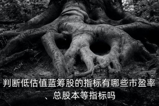 判斷低估值藍(lán)籌股的指標(biāo)有哪些市盈率、總股本等指標(biāo)嗎