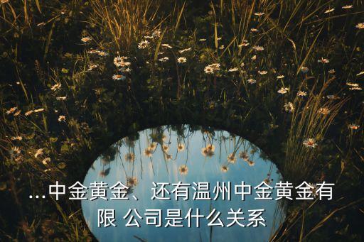 ...中金黃金、還有溫州中金黃金有限 公司是什么關(guān)系