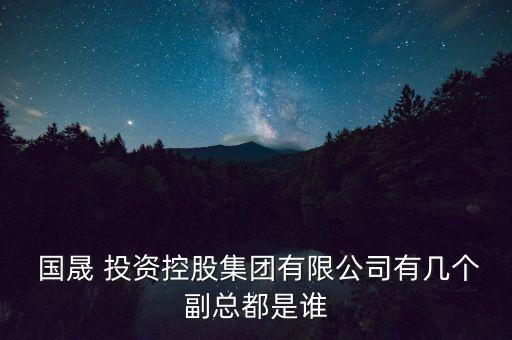  國(guó)晟 投資控股集團(tuán)有限公司有幾個(gè)副總都是誰(shuí)