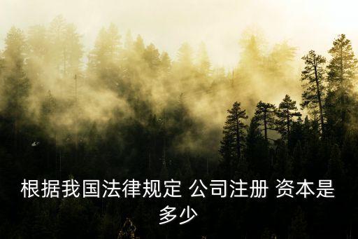 根據我國法律規(guī)定 公司注冊 資本是多少