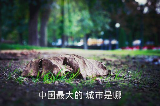 中國(guó)最大的 城市是哪