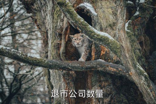 信威集團(tuán)業(yè)績(jī)暴增,華聞集團(tuán)一季度業(yè)績(jī)暴增