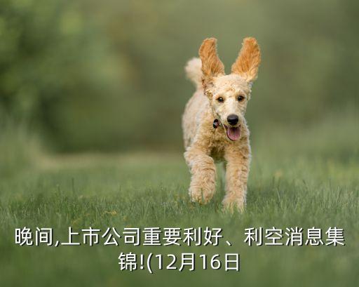 晚間,上市公司重要利好、利空消息集錦!(12月16日
