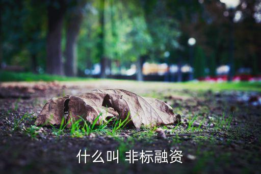 什么叫 非標融資
