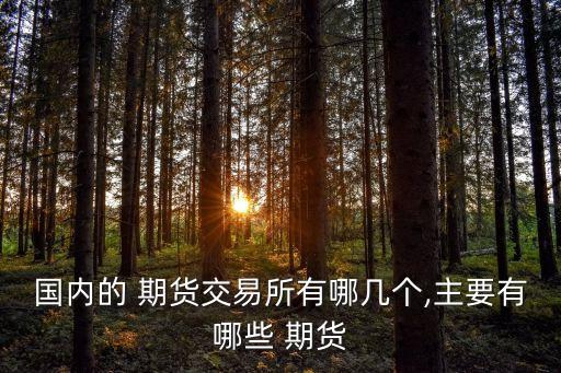 國內(nèi)的 期貨交易所有哪幾個(gè),主要有哪些 期貨