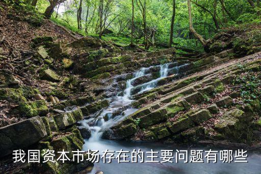 我國(guó)資本市場(chǎng)存在的主要問(wèn)題有哪些