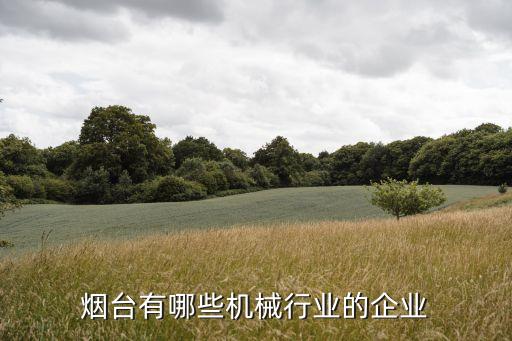 煙臺(tái)有哪些機(jī)械行業(yè)的企業(yè)
