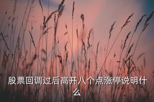  股票回調(diào)過(guò)后高開八個(gè)點(diǎn)漲停說(shuō)明什么