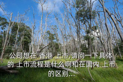 公司想在 香港 上市,請(qǐng)問一下具體的 上市流程是什么啊和在國內(nèi) 上市的區(qū)別...