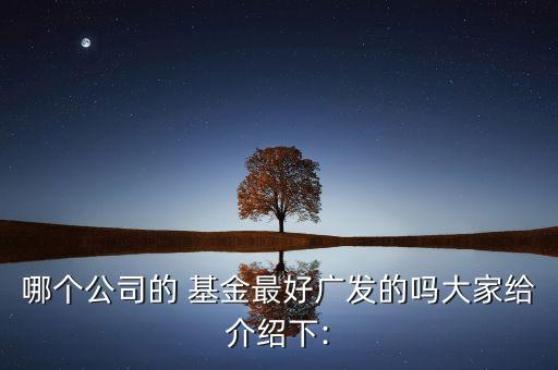 哪個公司的 基金最好廣發(fā)的嗎大家給介紹下: