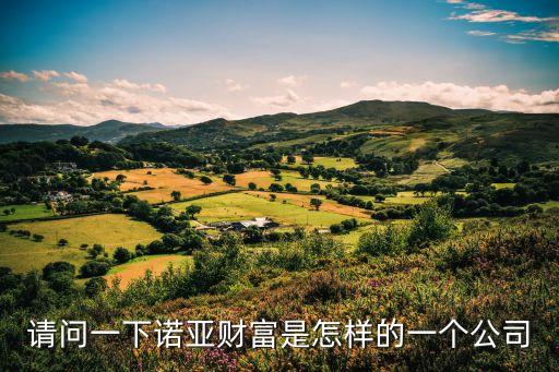 請問一下諾亞財(cái)富是怎樣的一個(gè)公司
